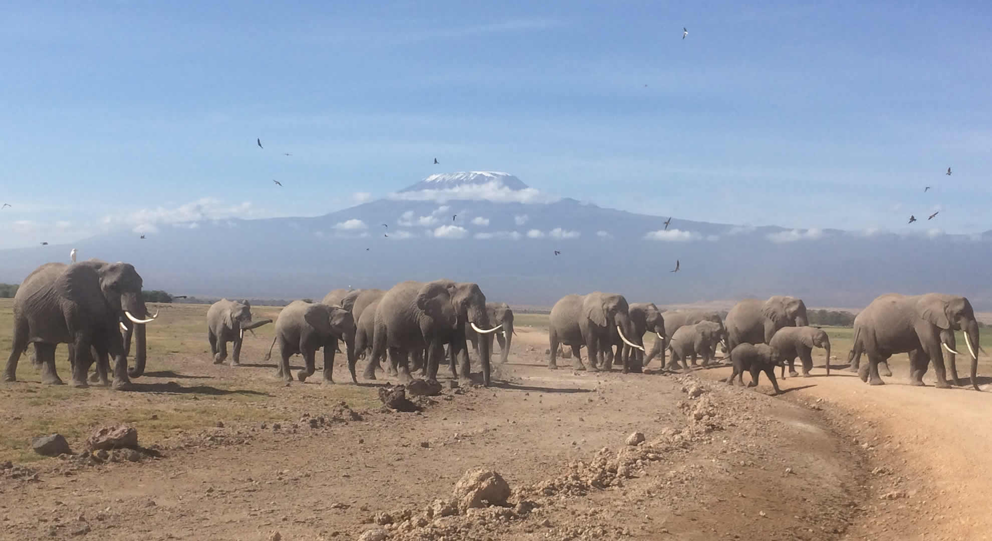 amboseli national park