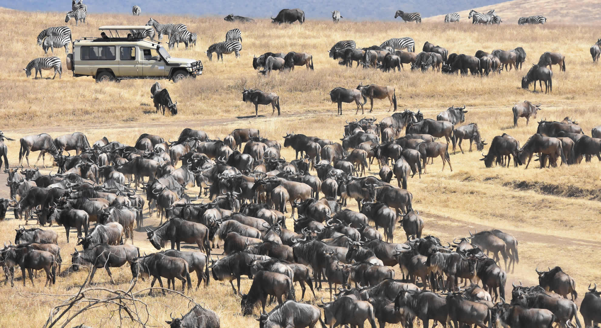 maasai mara game reserve