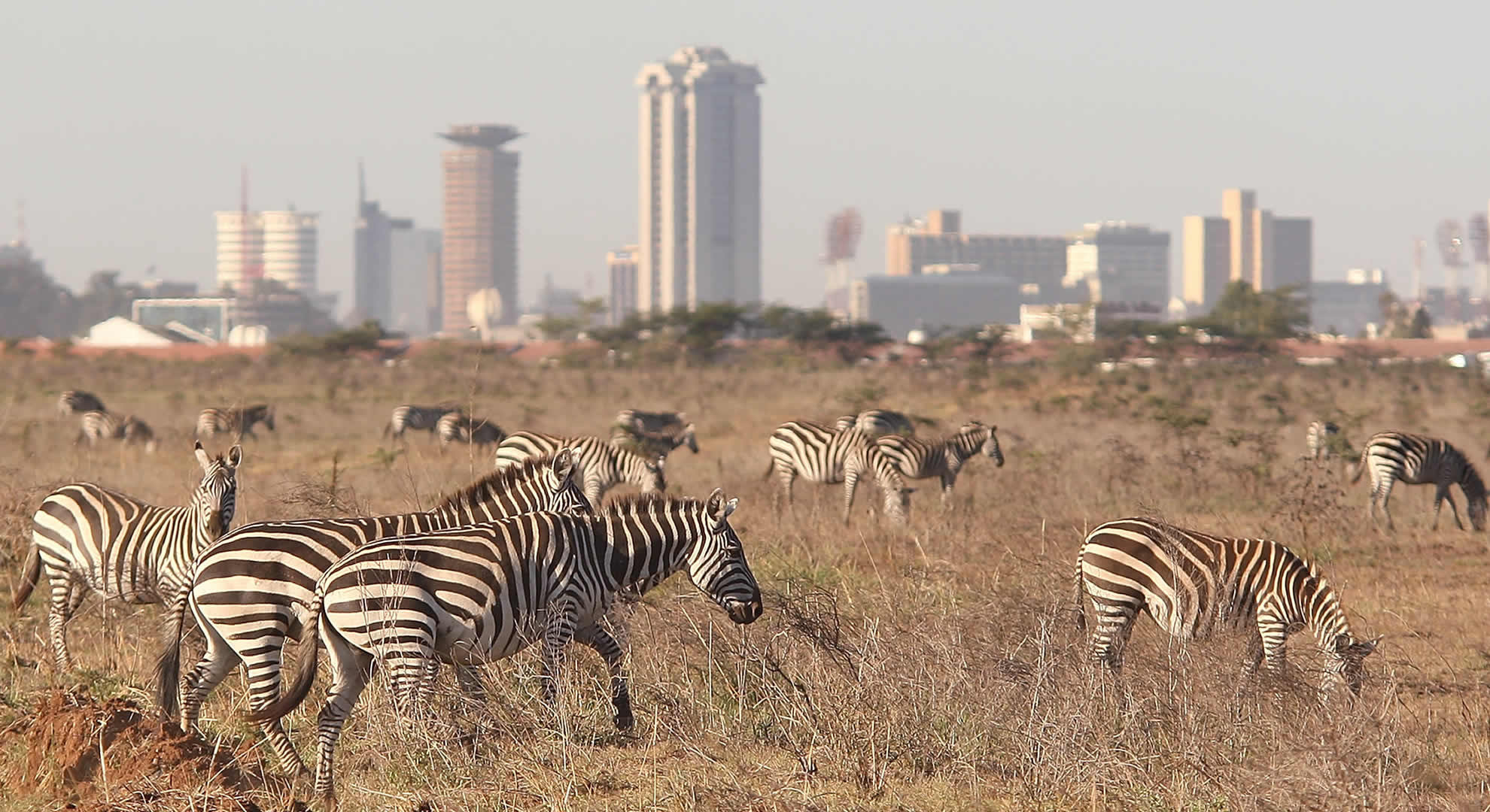 nairobi national park