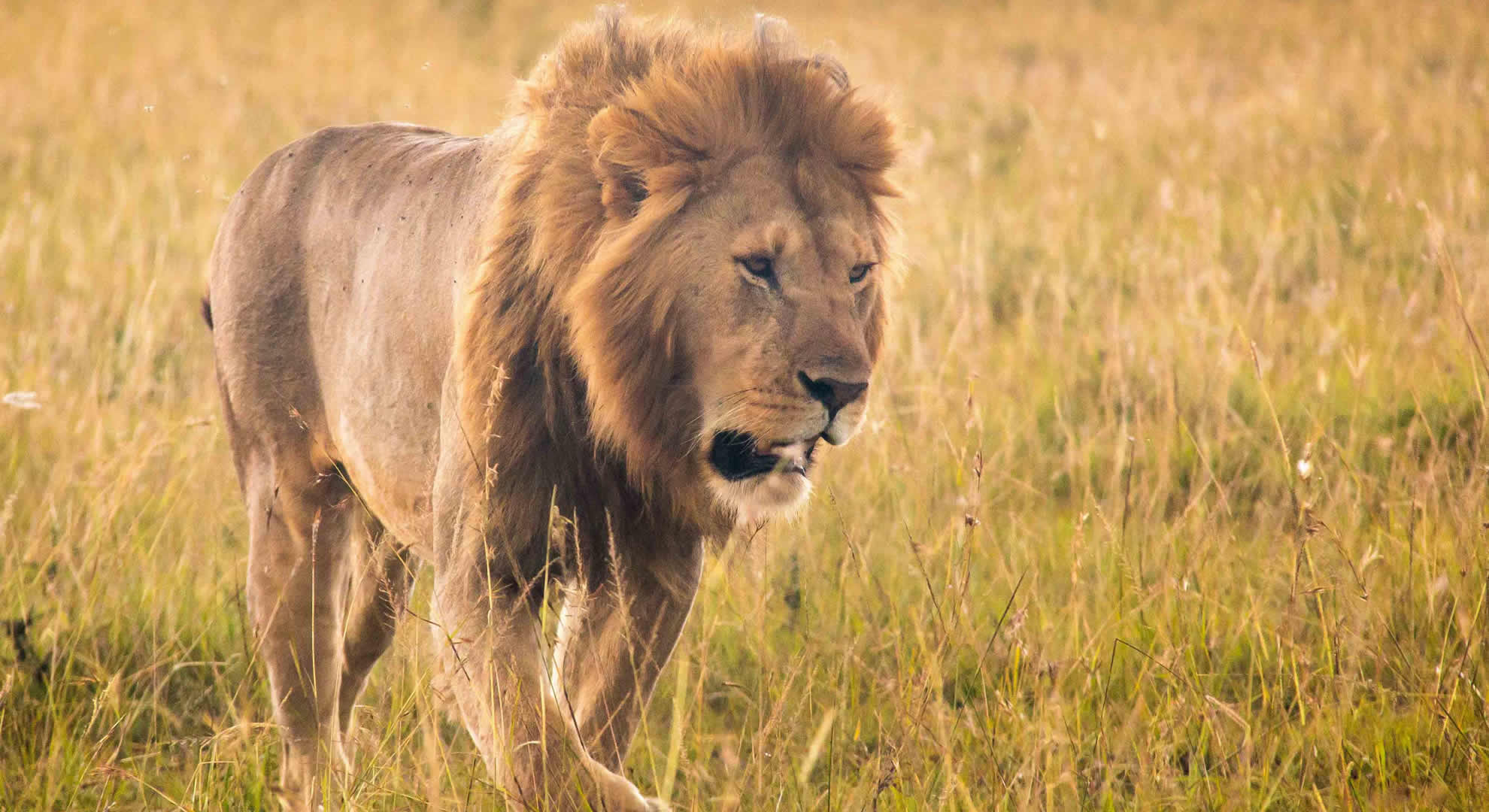 nairobi national park