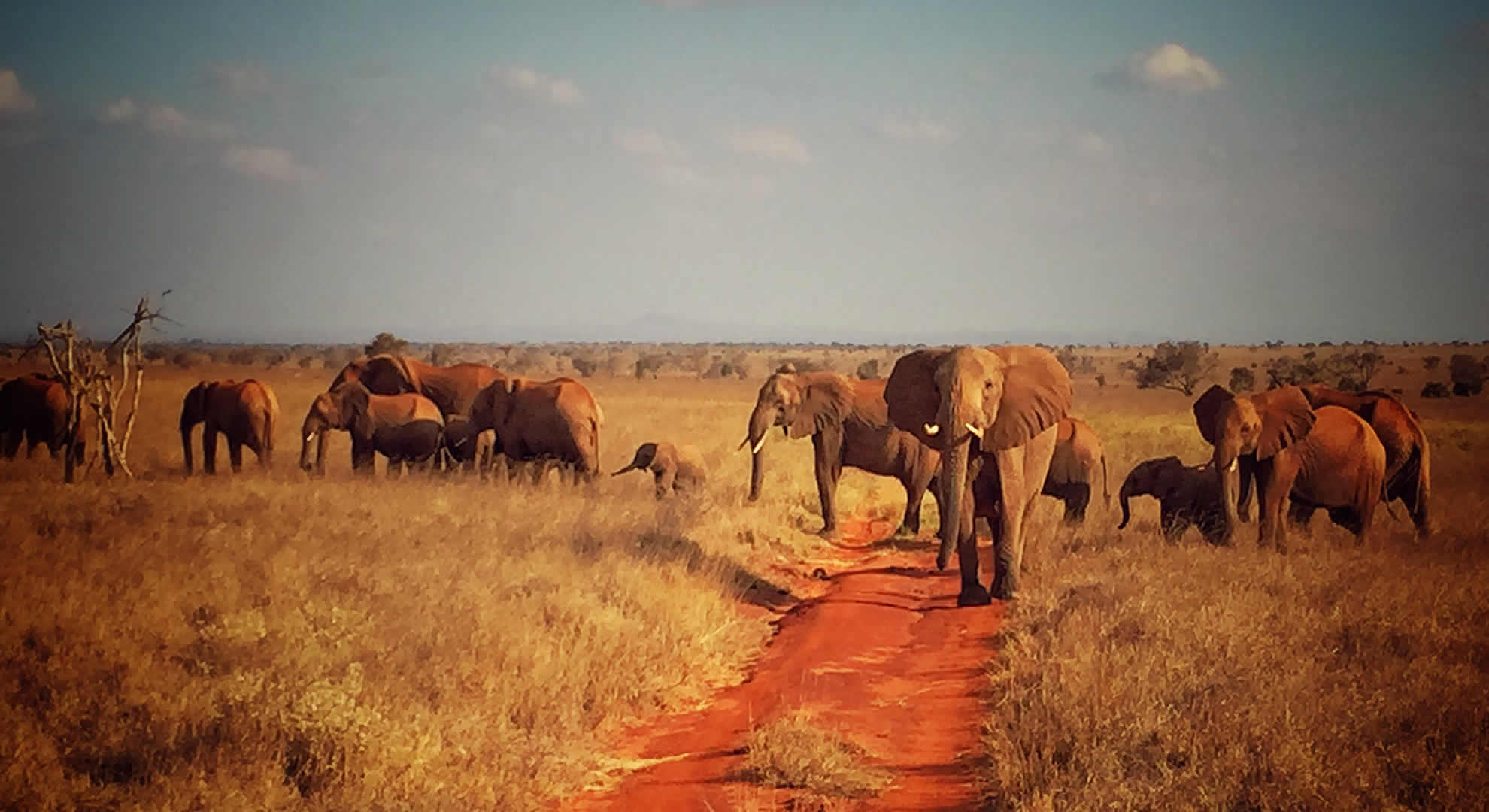 tsavo east national park