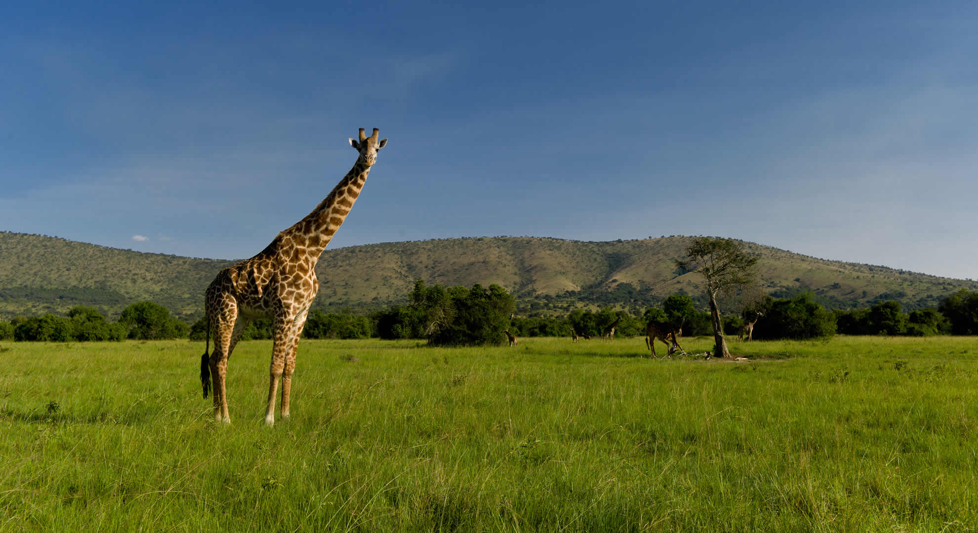 akagera national park