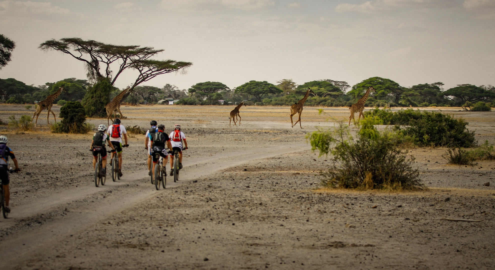 arusha national park