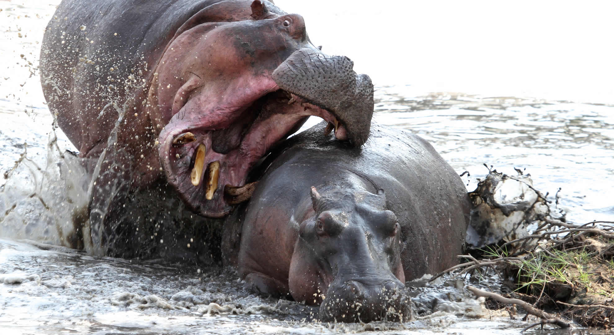 lake mburo national park