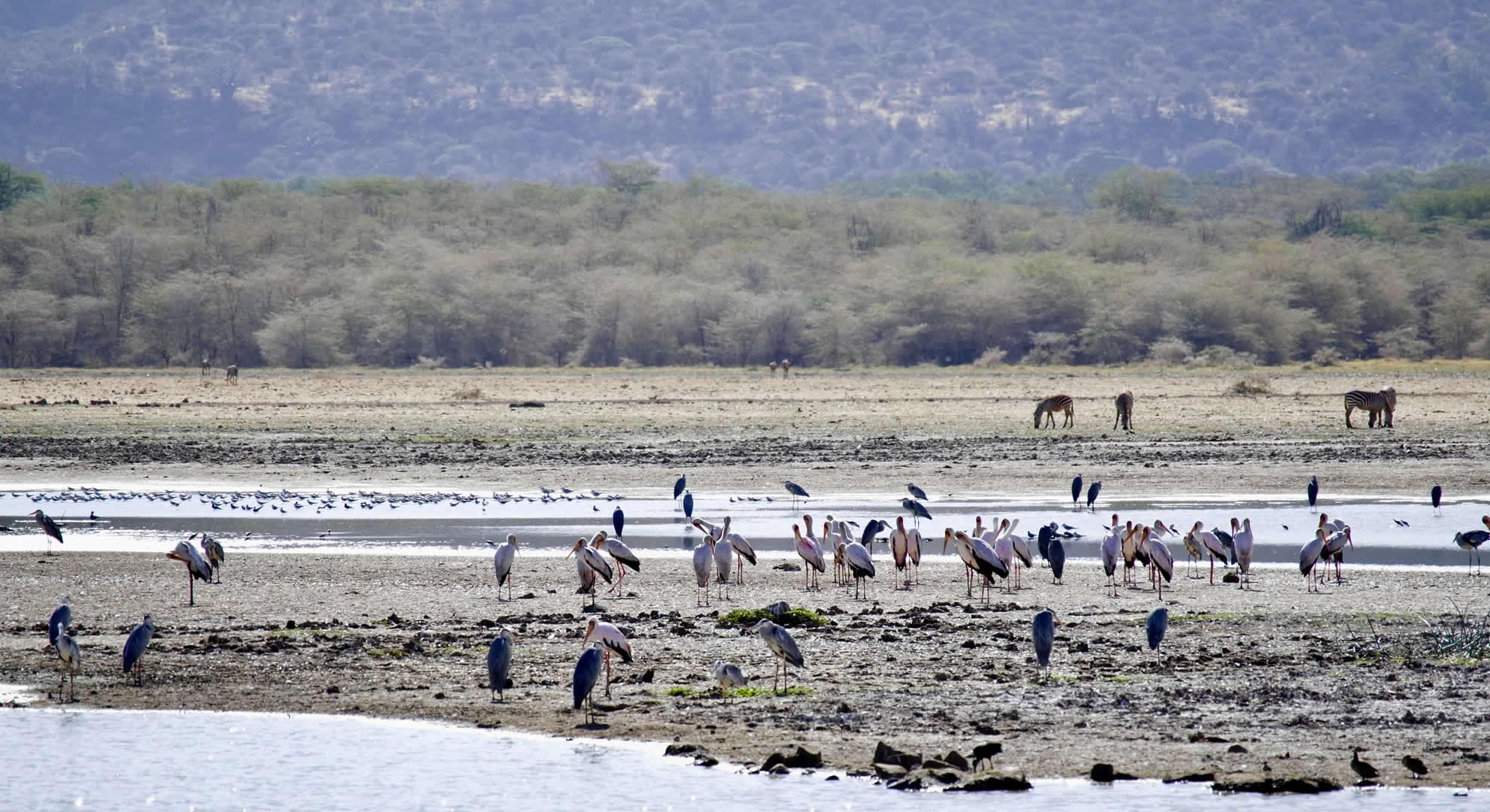 lake manyara national park