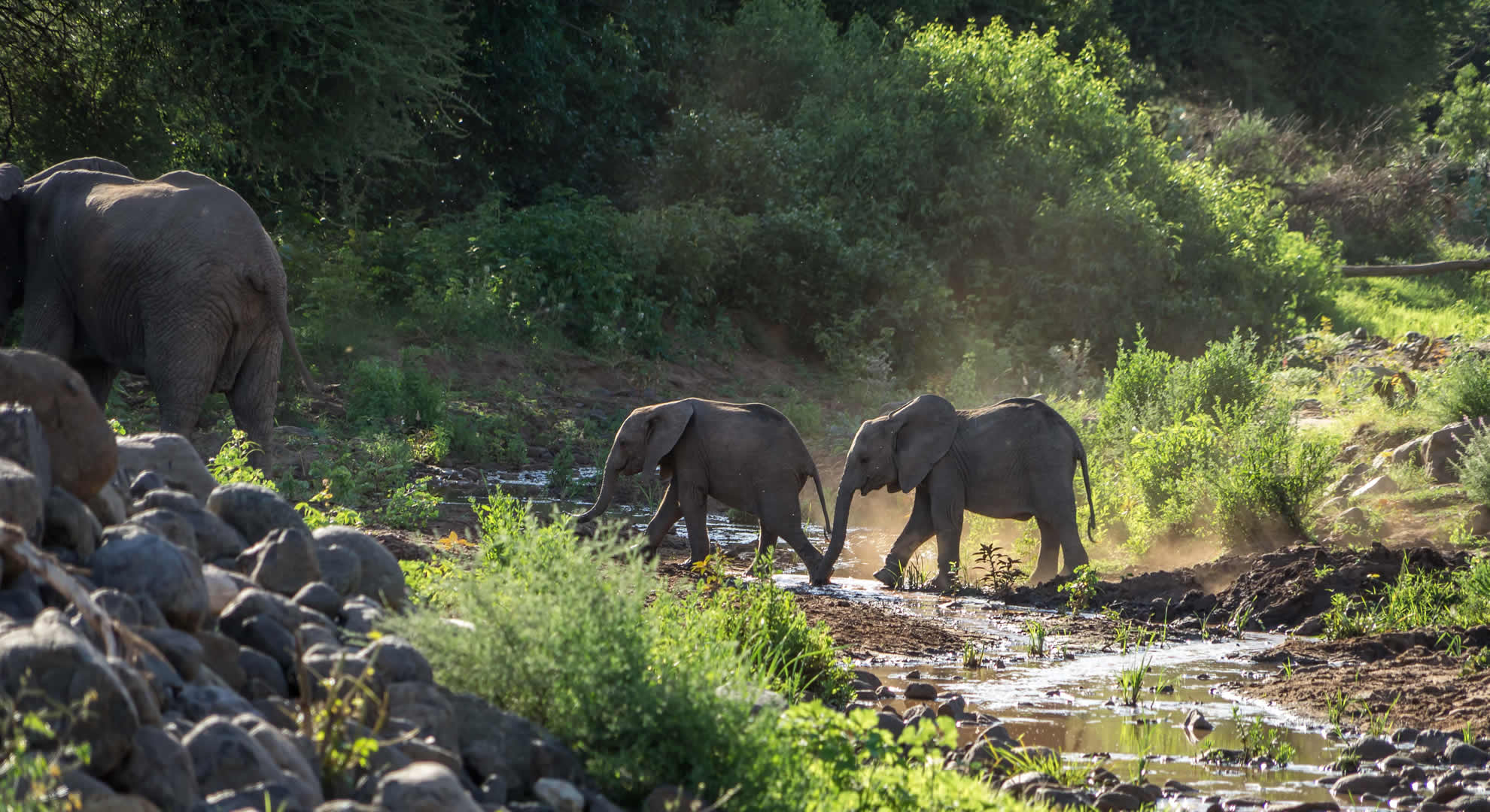 lake manyara national park