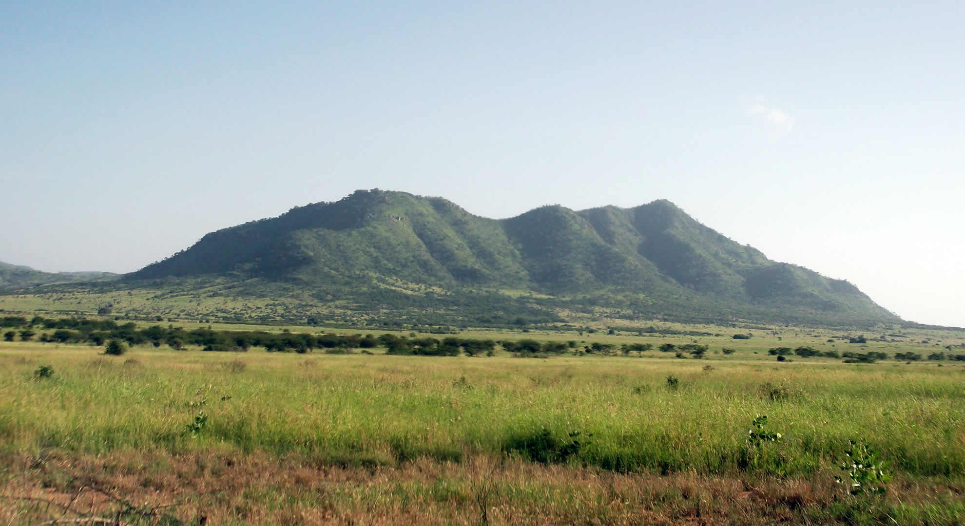 mkomazi national park