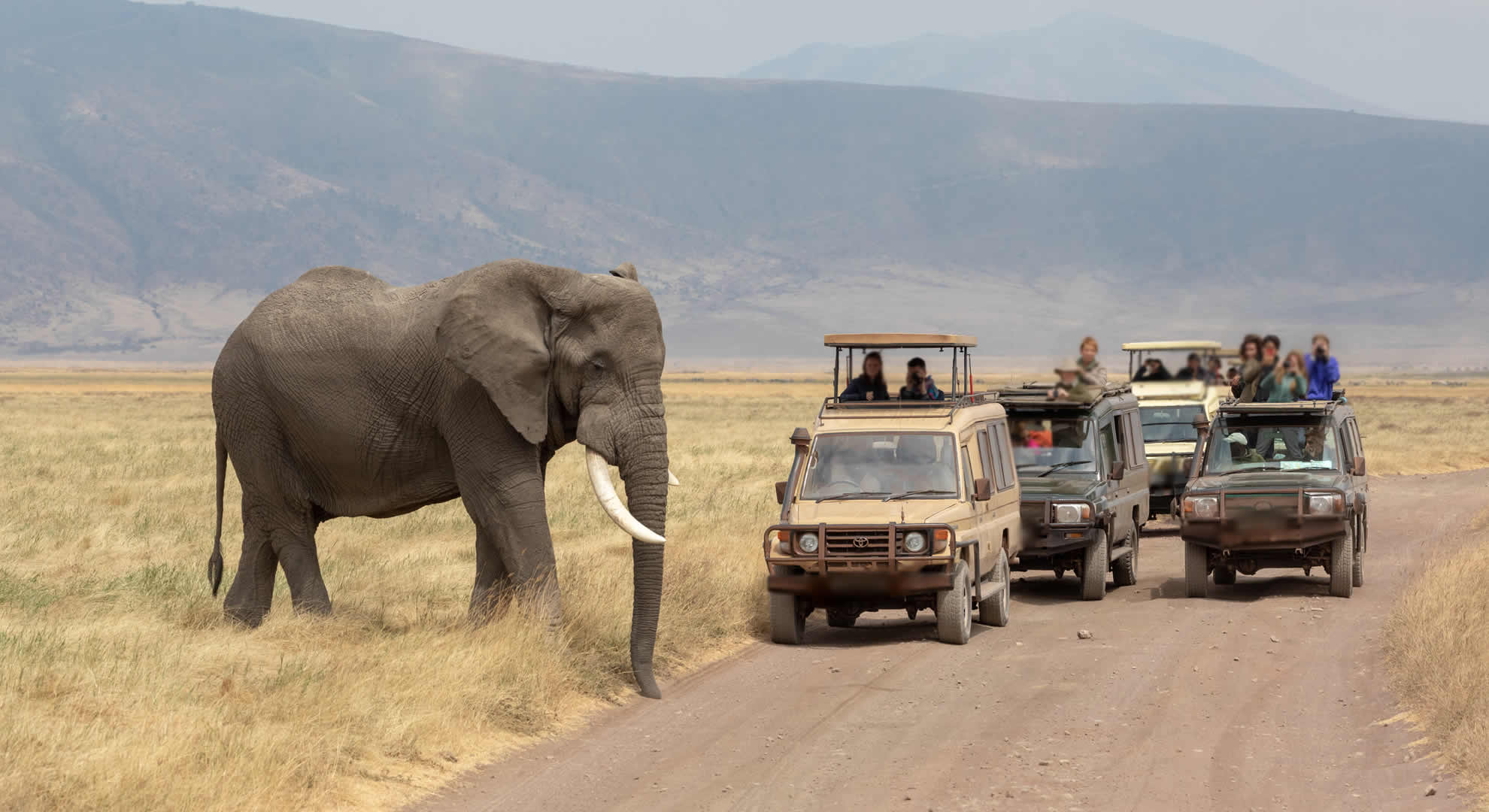 ngorongoro conservation area