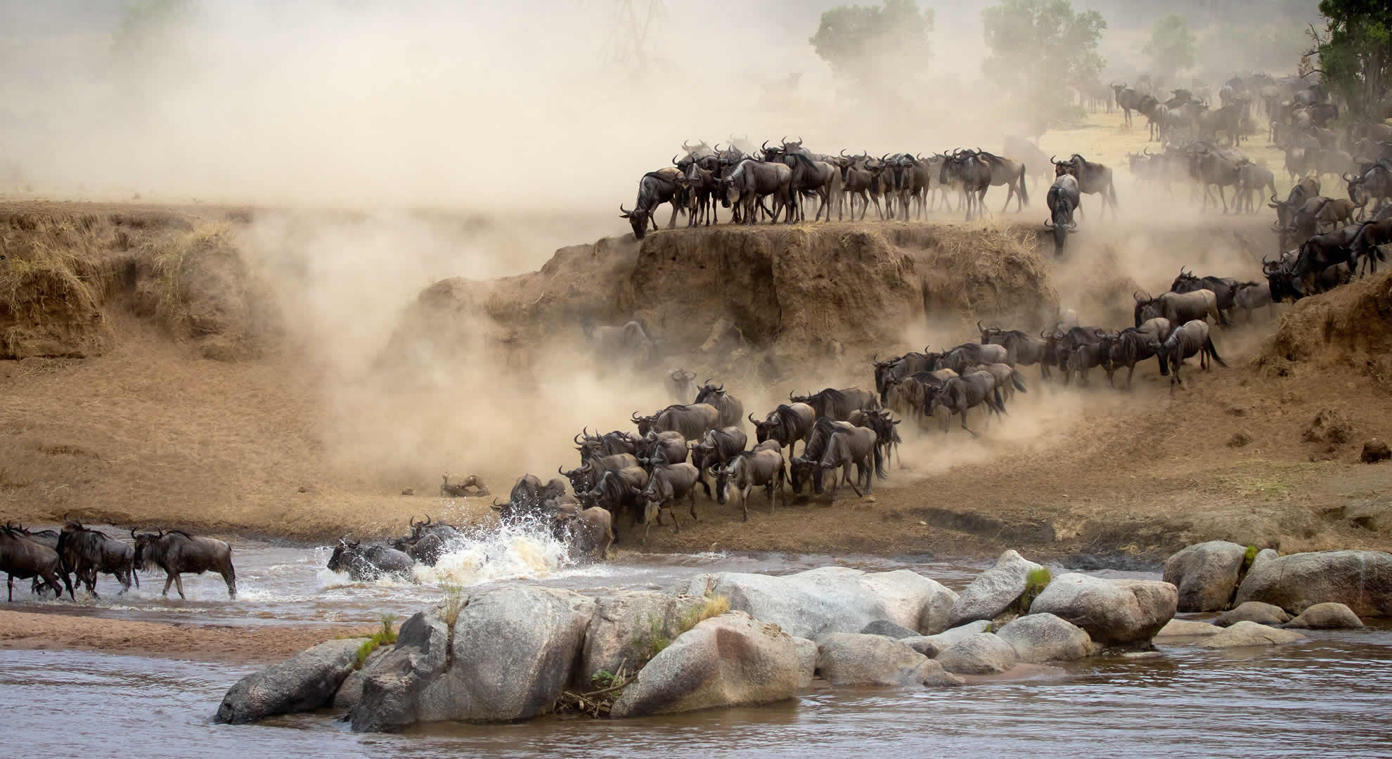 serengeti national park