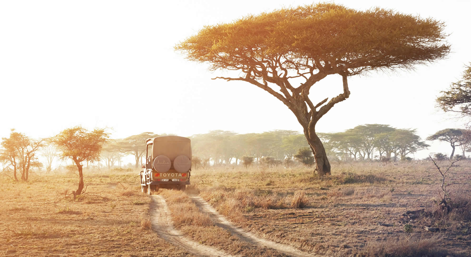 serengeti national park