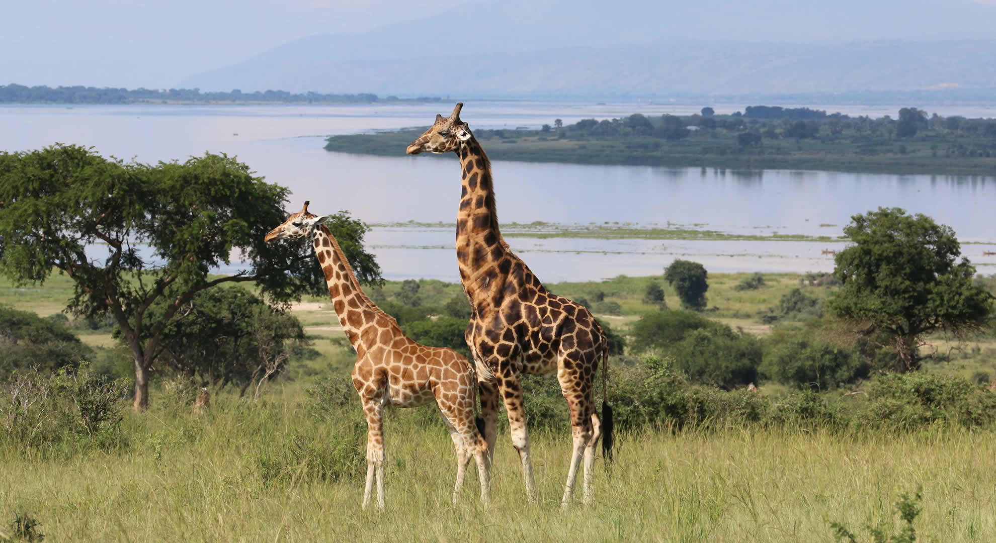 murchison falls national park