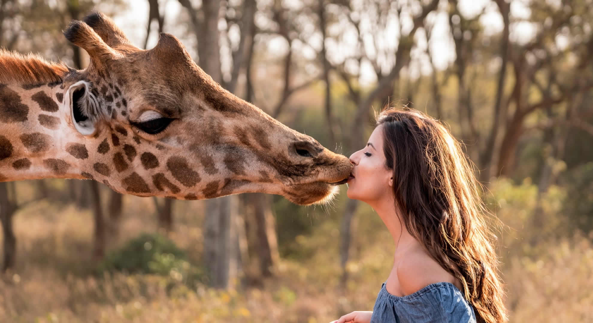 giraffe center nairobi