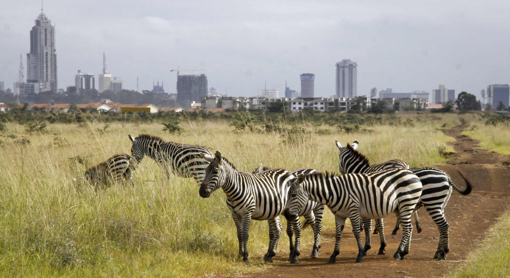 daytrip to nairobi national park