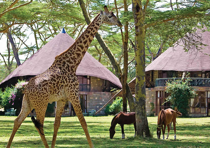 lake naivasha sopa lodge