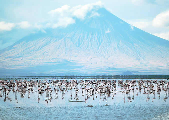 lake natron