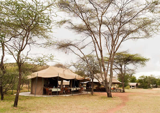 serengeti kati kati camp